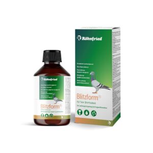Blitzform