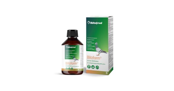 Blitzform